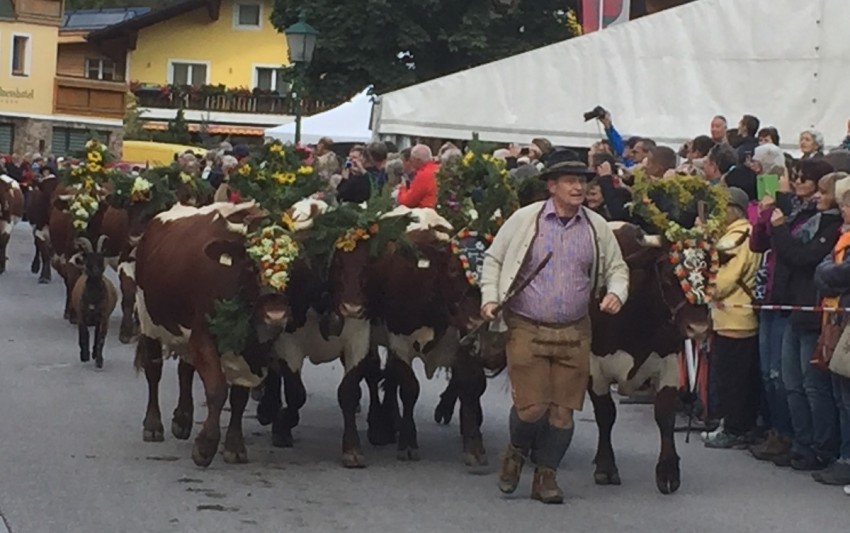 Almabtrieb durch den Ort