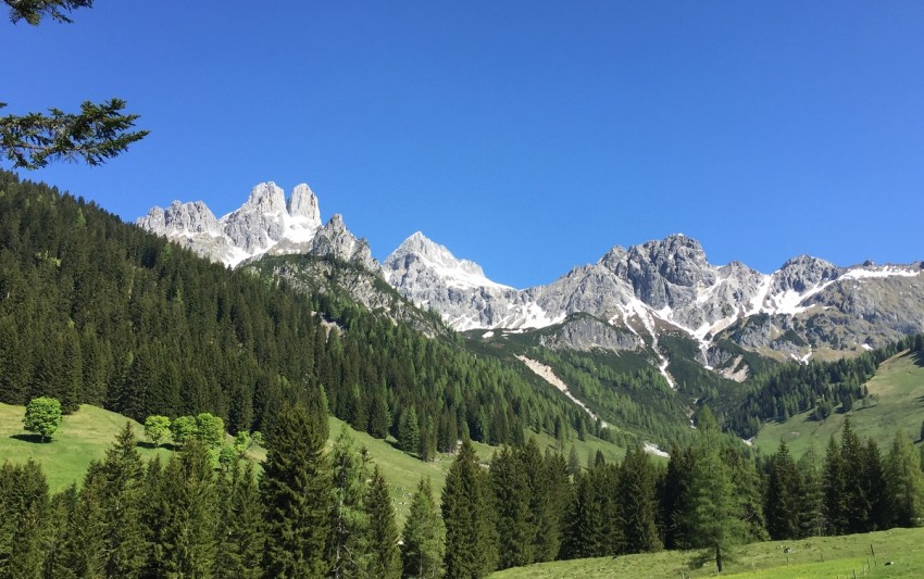 Blick auf die Bischofsmütze