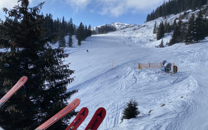 Rauf auf den Berg - Ski heil