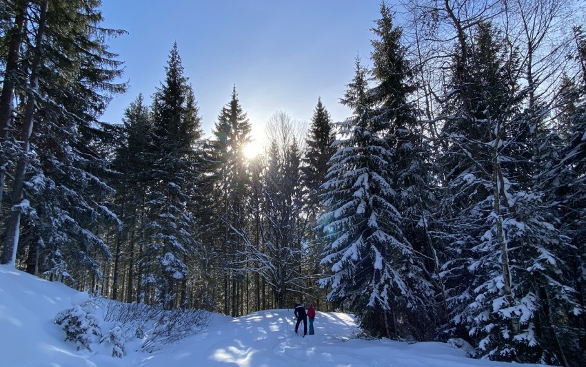 Erste wärmende Sonnenstrahlen am Rossbrand bei -15 Grad auf der Höhenloipe