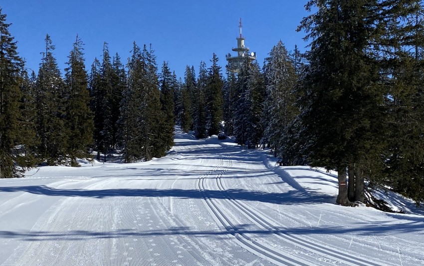 Rossbrand / Höhenloipe mit Funkturm im Hintergrund