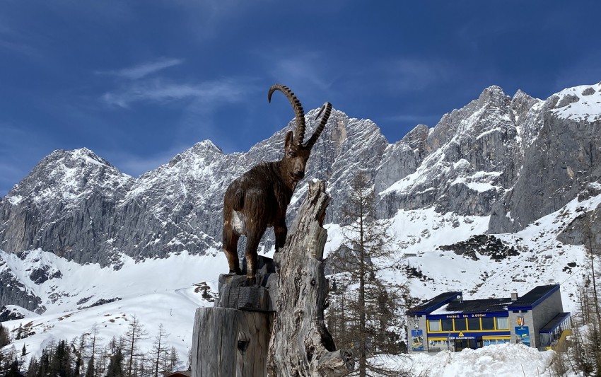 Ausflug zum Dachstein im April